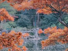 -中山公园
