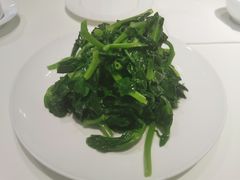 清炒豆苗-鼎泰丰(渔阳店)