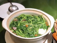 西洋菜鱼丸汤-煲煲好(朝阳门店)