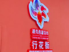 -越秀西湖花市(广州城市广场花卉店)