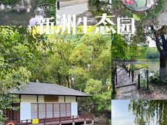 -新洲生态园