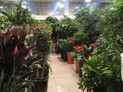 -双季花艺园艺市场(浦东店)