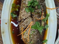 -老陈家烩菜(兴林路店)