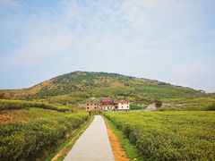 -嵛山岛