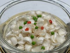 -丁老爷子苏香圆