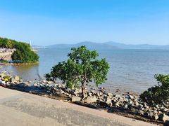 -深圳湾公园(南山区)
