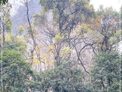 -桂林独秀峰王城景区