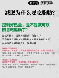 -Fundi张玉珊修身堂·indiba·BTL科技瘦身