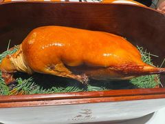 -鹿园 MOOSE(长宁店)