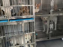 -喵汪萌宠屋旗舰店.洗澡美容.猫狗基地