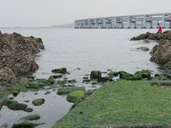 -银沙滩浴场