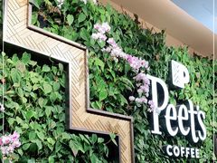 -Peet's Coffee皮爷咖啡(豫园店)