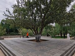 -元大都城垣遗址公园