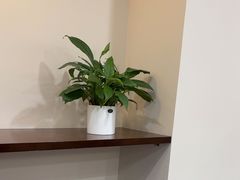 -爱康国宾体检中心(福田分院)