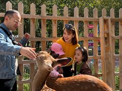 -水上乐园·欢乐世界