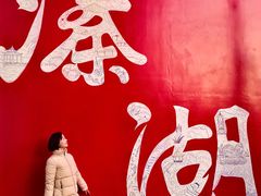 -溱湖国家湿地公园