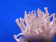 -石家庄极地海洋世界