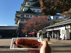 -名古屋城