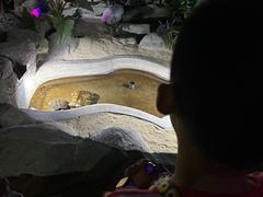 -泉城欧乐堡海洋极地世界