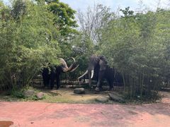 -揭东万竹园旅游景区