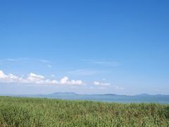 -贡湖湾湿地公园