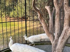 -养云安缦吧THE BAR