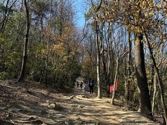 -岳麓山风景名胜区