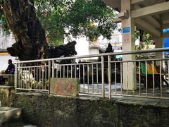 -长寿村