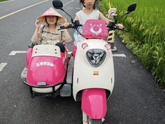 -明仕田园
