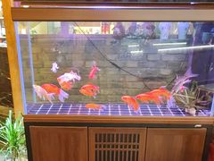 -来小酌·长安酒家(翠庭大厦店)