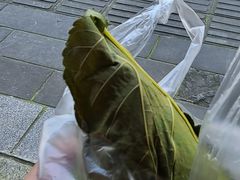 -叶婆婆豆浆馍馍