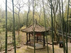 景点-宝岩生态观光园