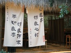 -十亩森林