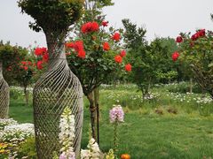 -东平国家森林公园