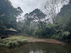 -碧峰峡风景区