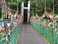 -西双版纳原始森林公园