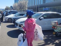 -北京民族园葉子里酒店(鸟巢店)