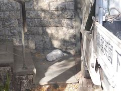 -老英格兰庄园