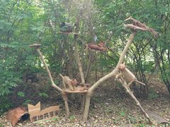 -华侨城湿地公园