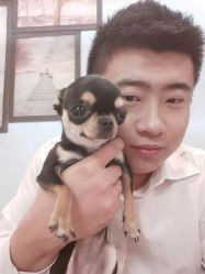 -孕视觉专业孕妇摄影(天津南开店)