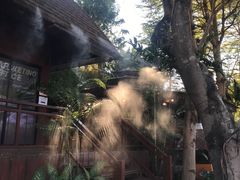 -清迈夜间动物园