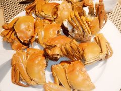 -佳源四季酒店-雅悦自助餐厅(新洲路店)