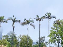 -中山公园