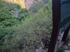 -北京凤凰岭