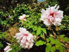 -江南大学(蠡湖校区)