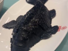 -添福来墨鱼饺子 · 海鲜东北菜(大连星海·黄浦路店)