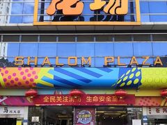 -双龙商场(环城南路店)