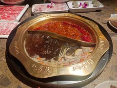 -小龙坎火锅(香港中路店)