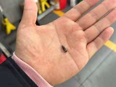 -昆仑润滑汽车服务中心(世纪金源旗舰店)