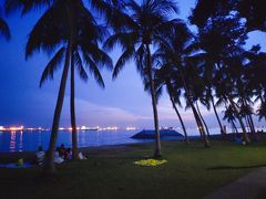 -东海岸人工湖美食村